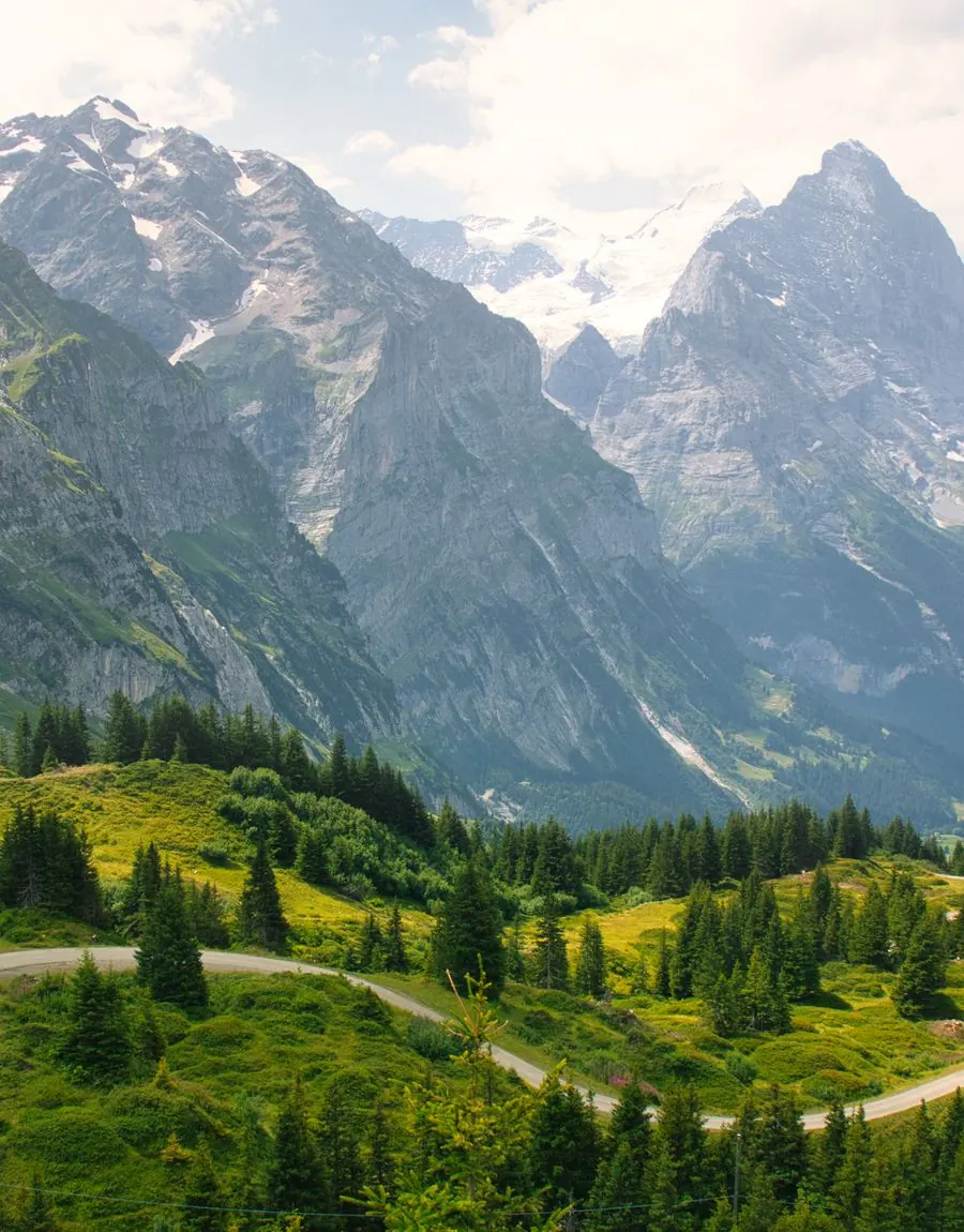 A road winding through green alpine meadows below snow-capped peaks